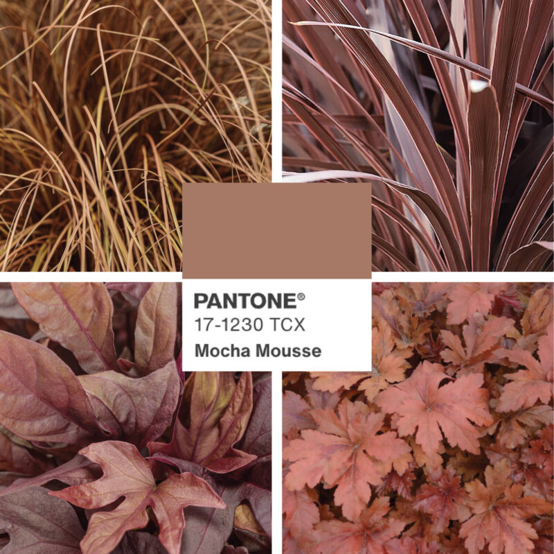 Pantone’s 2025 color inspires earthy garden trends Greenhouse Product