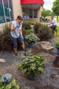 Endless Summer hydrangea celebrates 20 years with serivce_BaileyElementaryPlanting_2