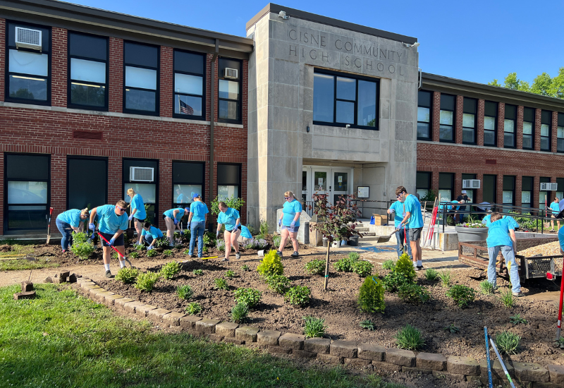 Endless Summer Hydrangeas 20th Anniversary Plantings