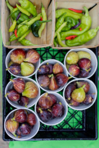 Photos from the August Farmstand with Love Where You Live in Nicetown-Tioga at the Nicetown Park, on August 17, 2024.