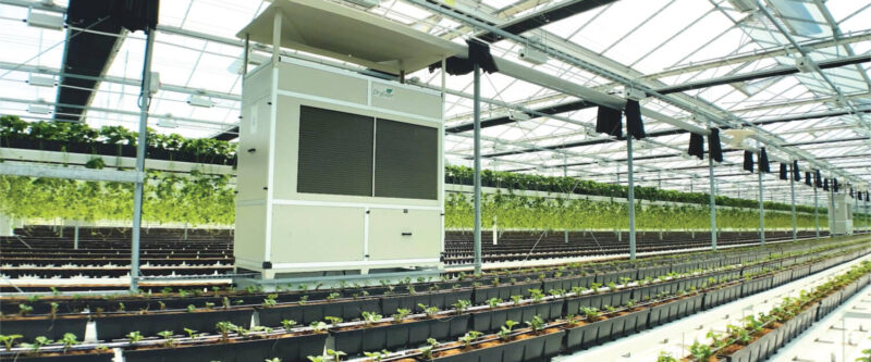 A dehumidifier in a greehouse growing strawberries.