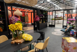 Patio display with potted plants.