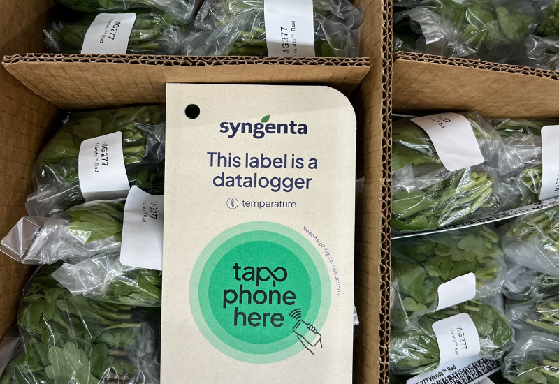 A paper data logger in a box of plants ready to collect data.