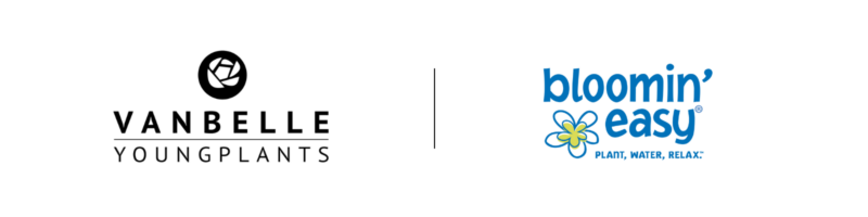 Van belle youngplants and bloomin' easy combined  logo