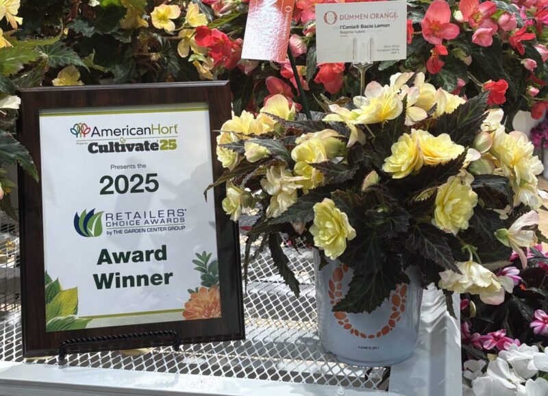 potted begonia hybrid with 2025 Retailers Choice Award Winner sign next to it from Cultivate'25 event