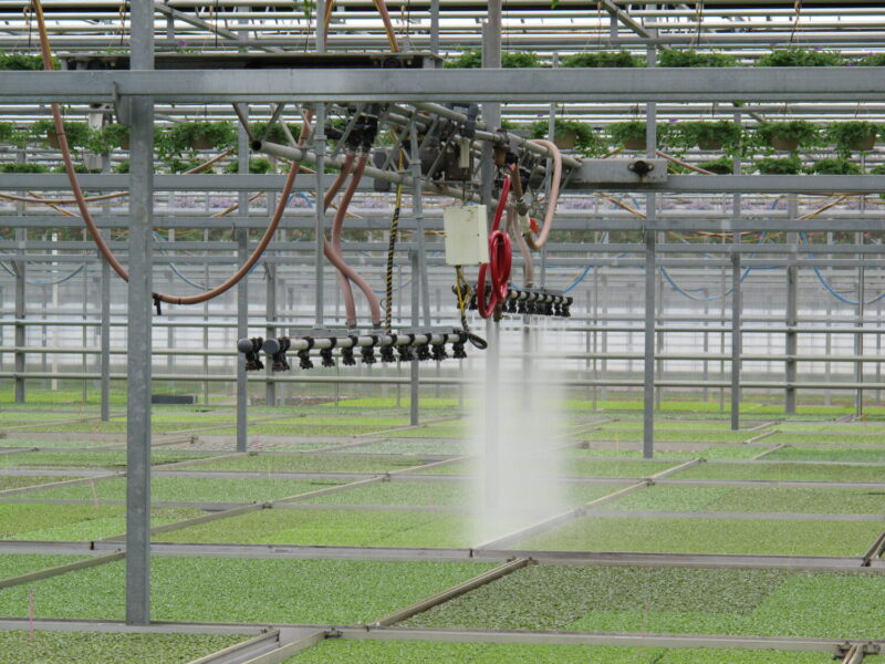 Irrigation boom in a greemhouse water plants