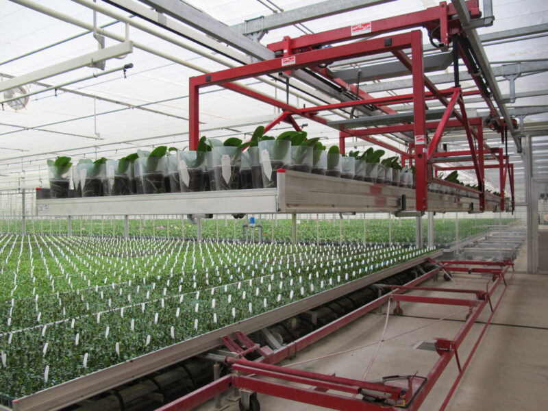 Irrigation boom in greenhouse