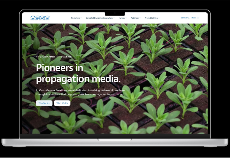 A webpage showing green plants
