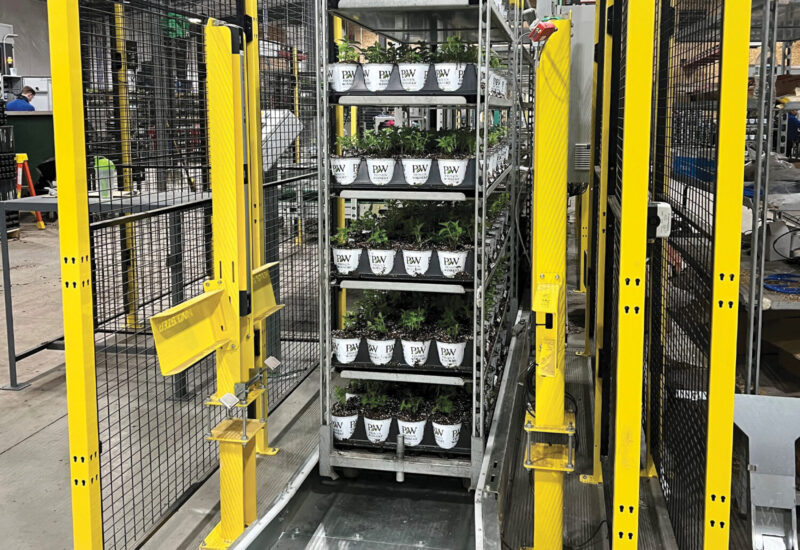 Visser cart loader in a greenhouse