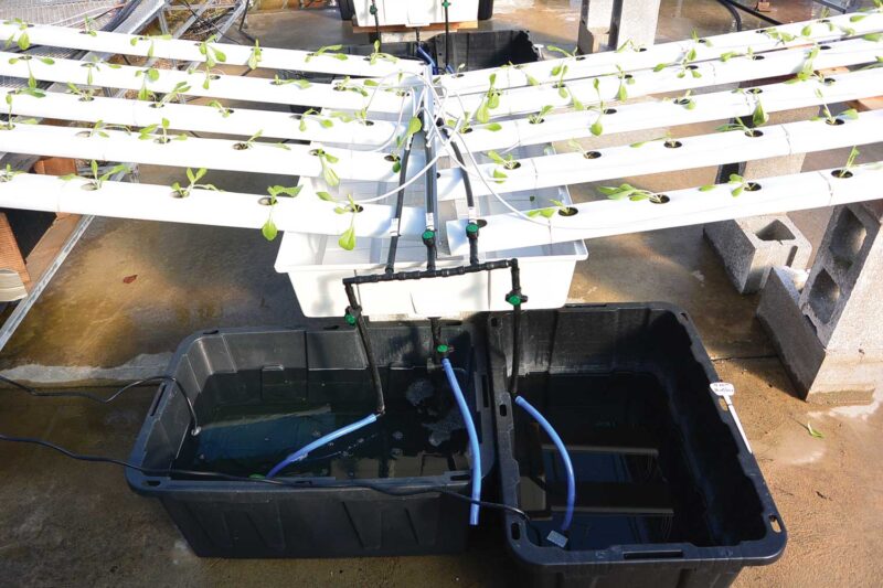 hydroponic system for greenhouse use