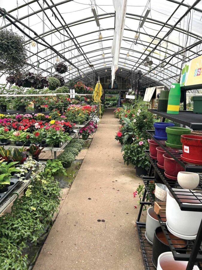 Inside a greenhouse at Newton Greenhouse in New Hampshire