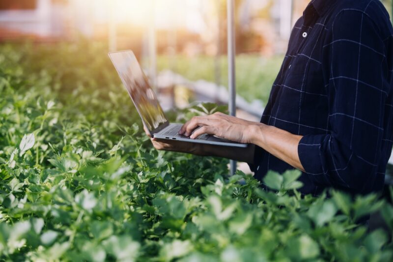 Farmer man and woman using laptop examing quality at vegetable hydroponic at greenhouse. Concept of vegetables health food. Smart farm using technology growing business hydro produce.