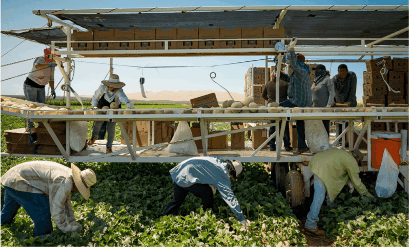 farm workers outside