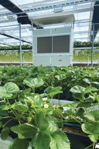dehumidifying unit inside a greenhouse with green plants growing on the benches