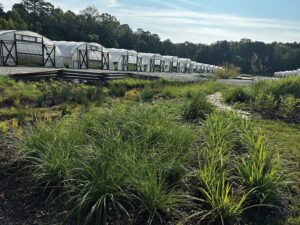 Greenhouses in a row