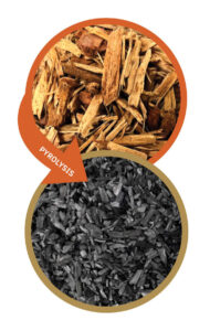 biochar