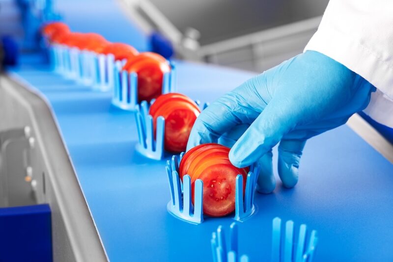 Gloved hands touching sliced tomatoes on a conveyor belt for produce processing.