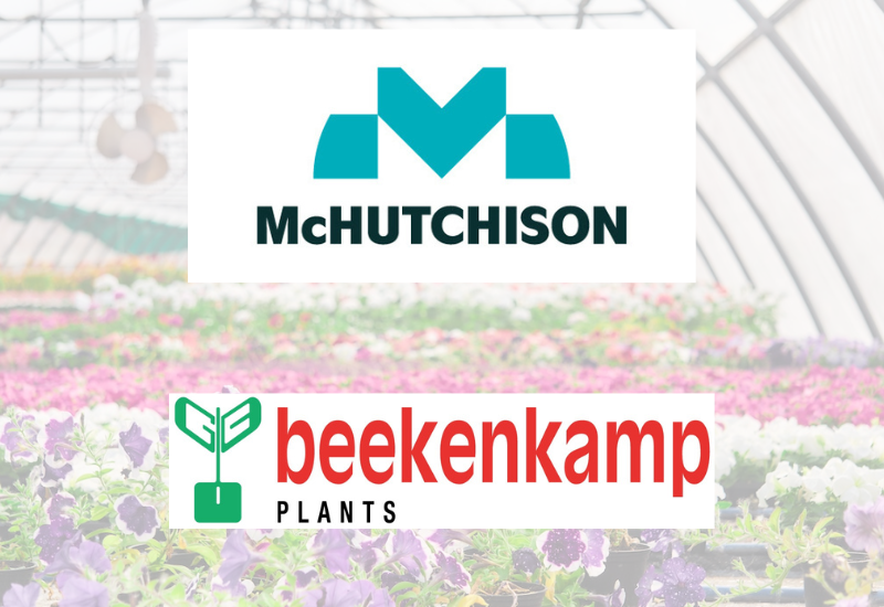 McHutchinson and Beekenkamp logos with flowers in the greenhouse in the background
