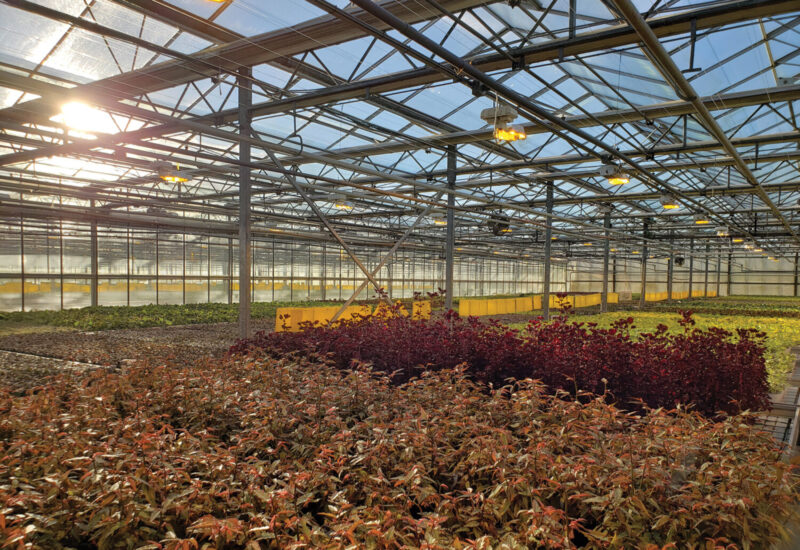 inside view of glass greenhouse