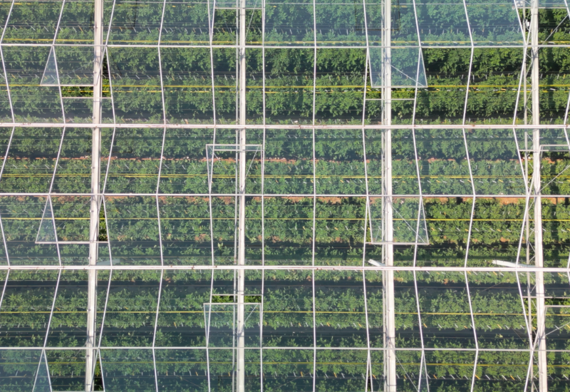 drone photo of a glass greenhouse overhead.