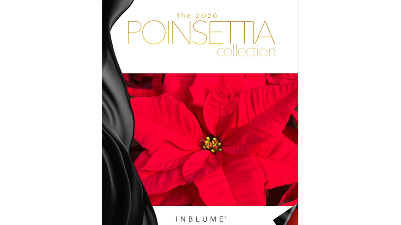poinsettia varieties catalog cover