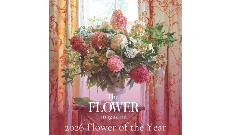 Fire Light hydrangea named 2026 Flower of the Year