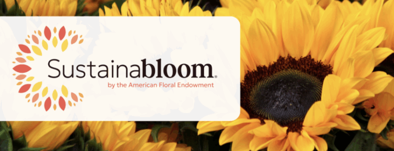 Sustainabloom logo with sunflower background