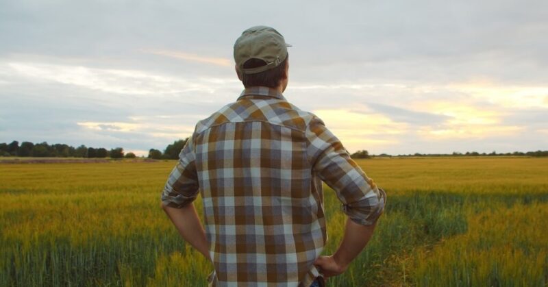 man in plaid shirt and ball cap standing with his back to the camera and looking across a field at the sunset