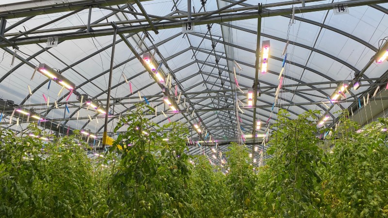 Sollum Raises $30M to Grow Operations