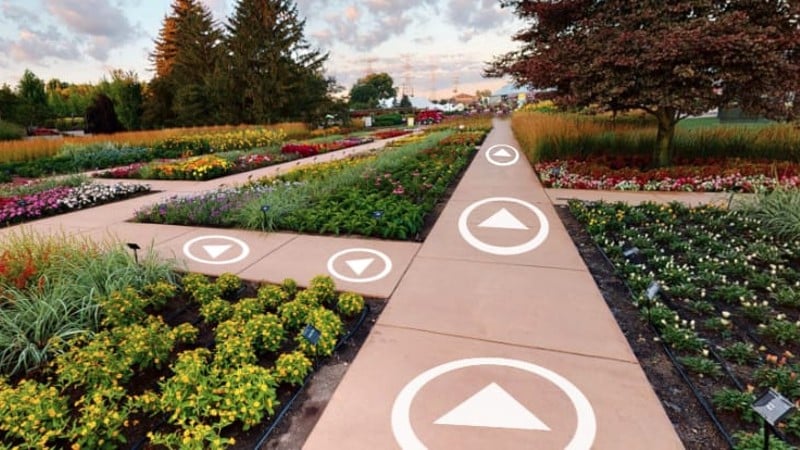 Ball Seed showcases 2025 trials and tools event