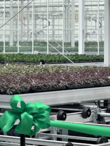 The Plant Company Adds State-of-the-Art Greenhouse Space