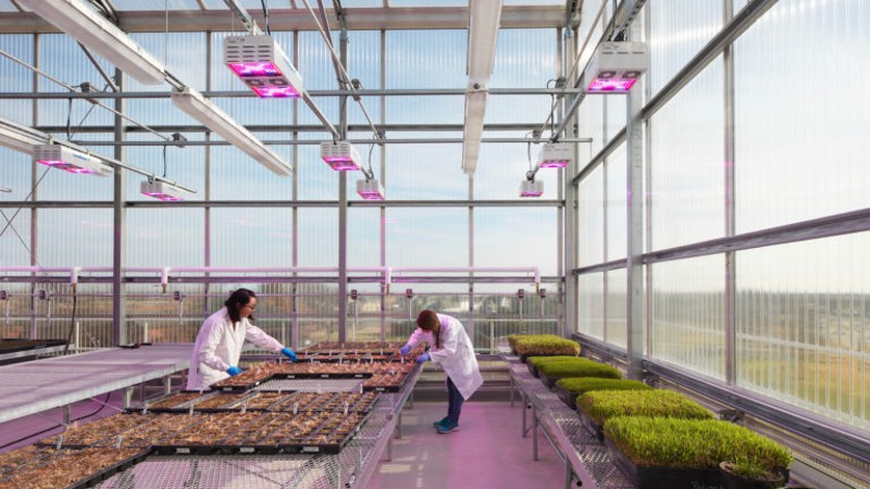 Texas A&M AgriLife Grant Will Identify CEA Priorities