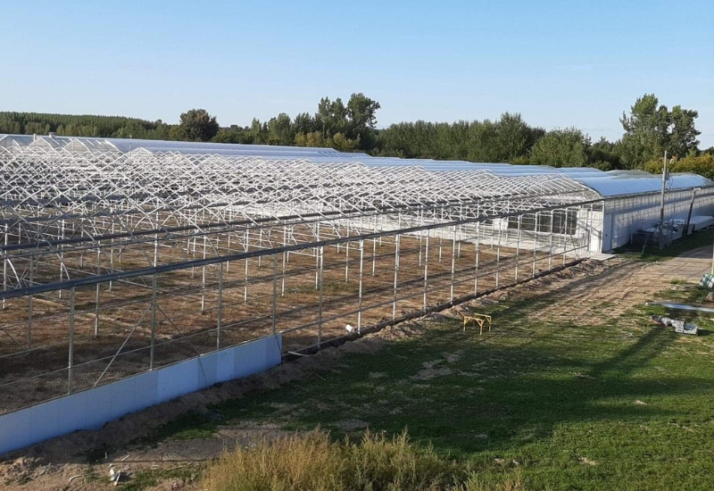 Harnois partnership expands production for Quebec grower