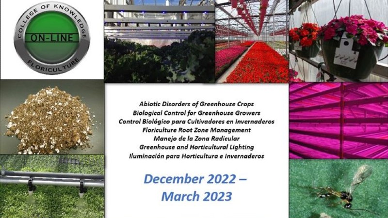 Michigan State Offers Greenhouse Courses and Certificate Program