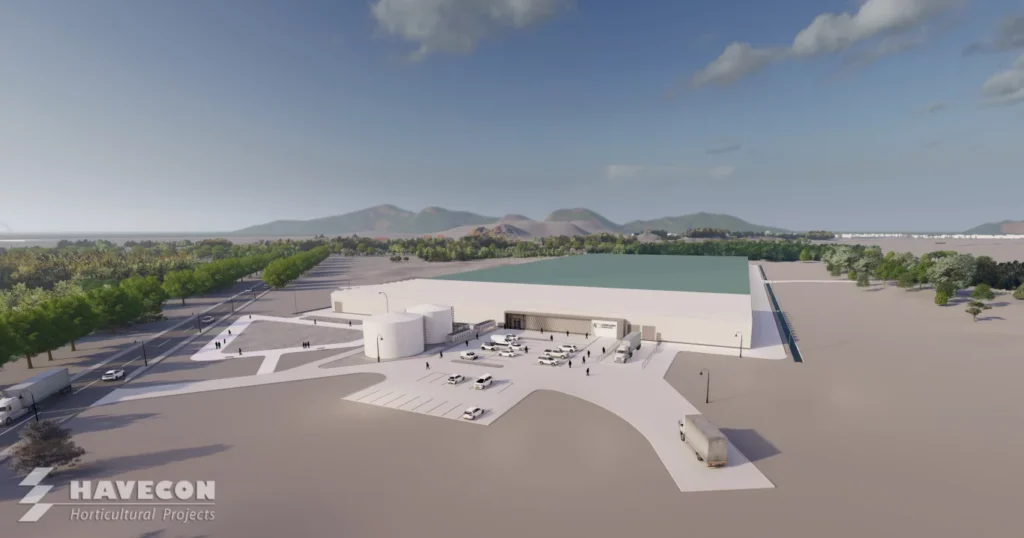 Havecon to Build CEA Greenhouses in Upstate NY