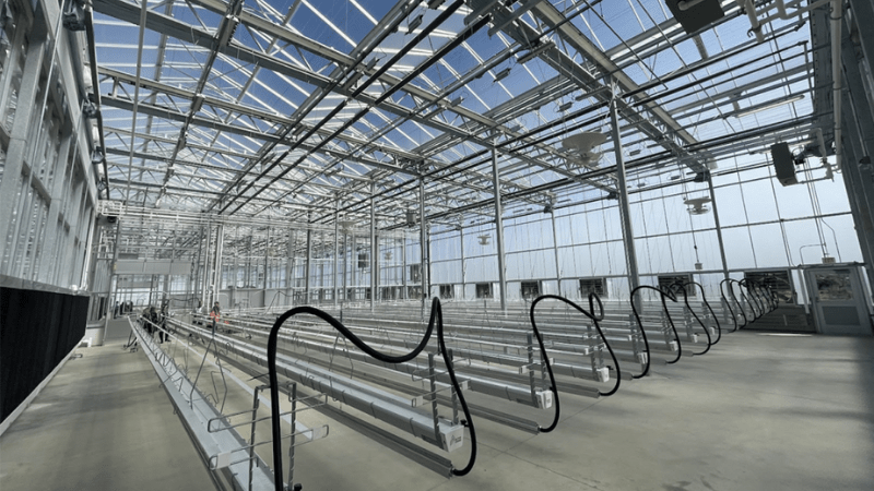 Universities, Companies Team Up on CEA Study