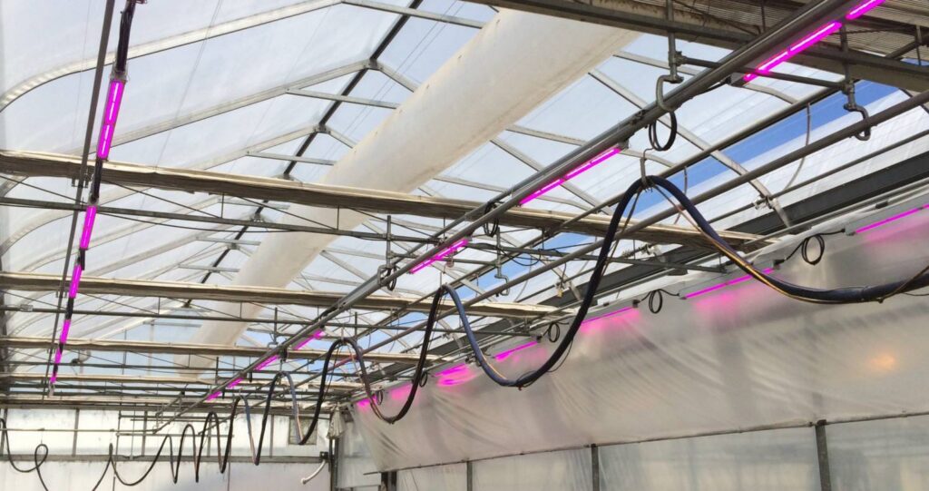 Selecting an LED Fixture