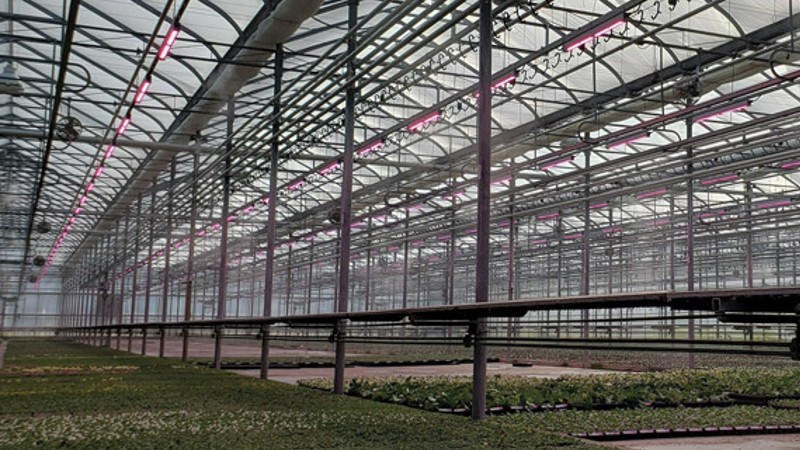 Technically Speaking: Getting Started With Supplemental Greenhouse LED Lighting