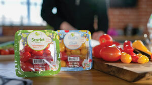 Red Sun Farms runs vertically integrated operations, maintaining ownership of every step from seed selection to shipping. This allows for a steady supply of fresh produce for customers in the U.S., Canada and Mexico.