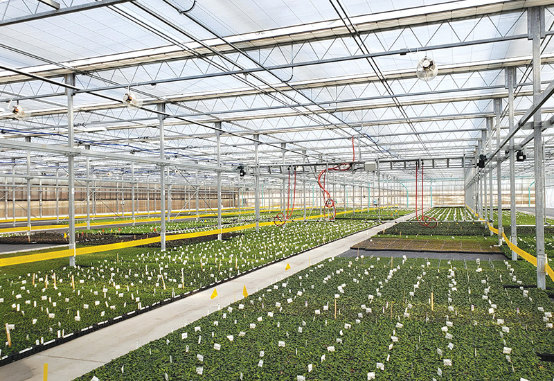 Grower Success Stories: North Carolina Farms