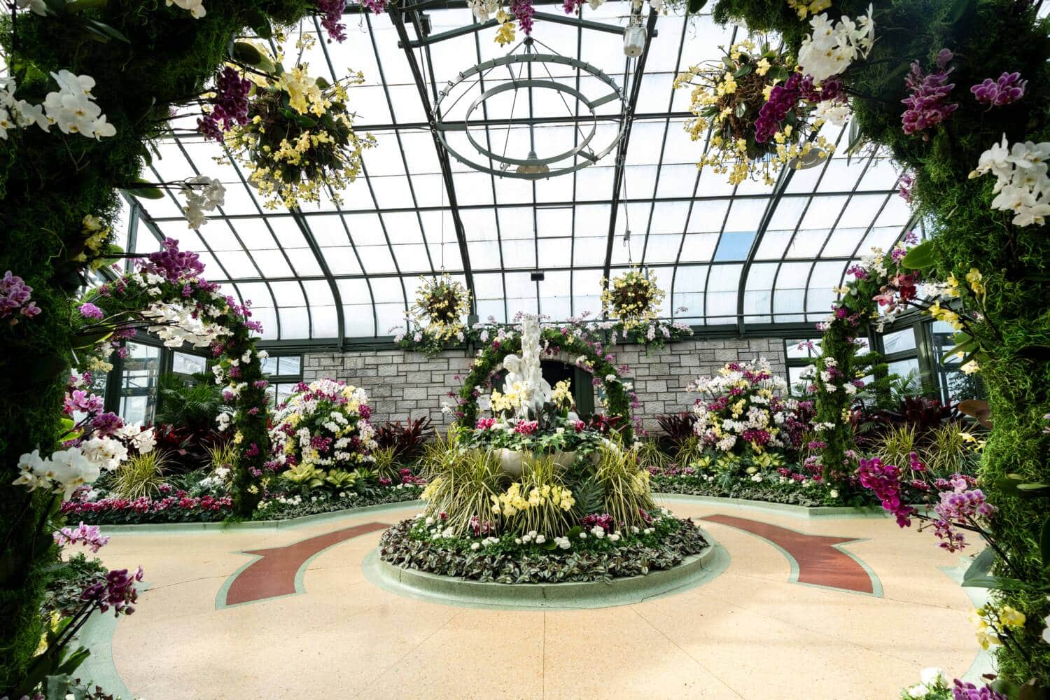 2024 Orchid Show-1