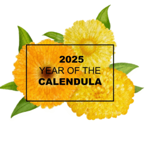 NGB's 2025 "Year of the" Calendula. Photo courtesy of National Garden Bureau.