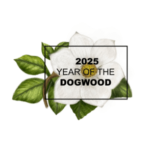 NGB's 2025 "Year of the" Dogwood. Photo courtesy of National Garden Bureau.