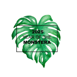 NGB's 2025 "Year of the" Monstera. Photo courtesy of National Garden Bureau.
