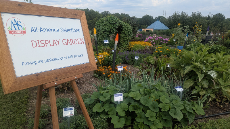 2025 AAS Display Garden Landscape Design Challenge winners announced