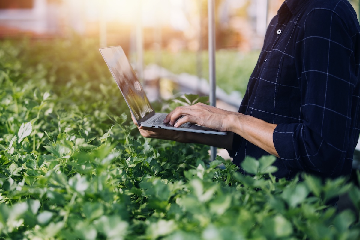 Farmer man and woman using laptop examing quality at vegetable hydroponic at greenhouse. Concept of vegetables health food. Smart farm using technology growing business hydro produce.