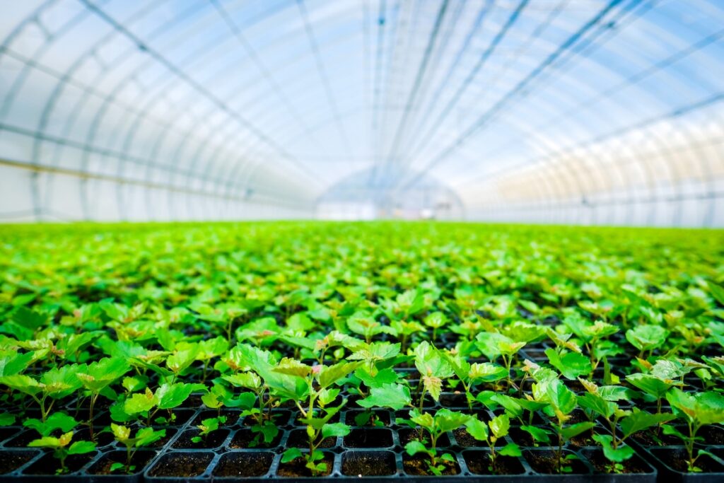 Technically Speaking: Controlling greenhouse temperature for successful production
