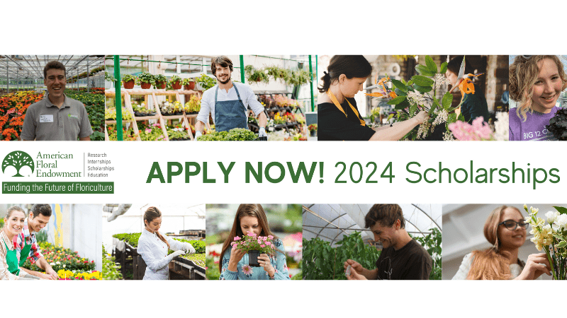 Horticulture, floriculture students can apply for AFE scholarships by May 1