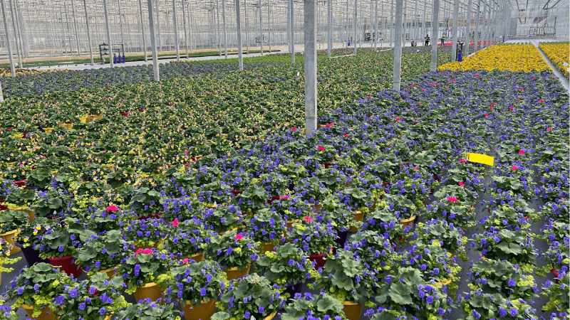 Growers invited to take 2023 CEA survey