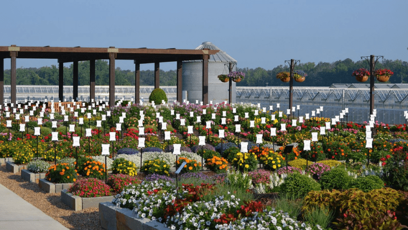 AAS,NGB 2024 Summer Summit this June